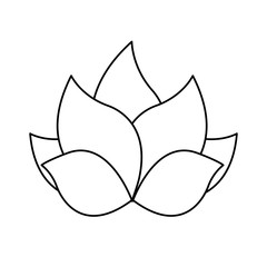beautiful flower and leaves icon over white background vector illustration