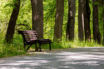 empty wooden park bench in the shade under old trees. stone footpath. spring in the park.