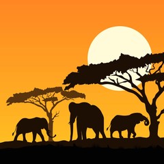 Fototapeta na wymiar elephants silhouettes