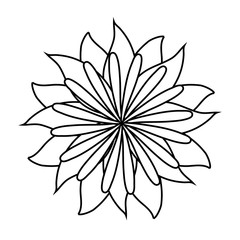 beautiful flower icon over white background vector illustration