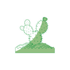 Cactus desert plant icon vector illustration graphic design