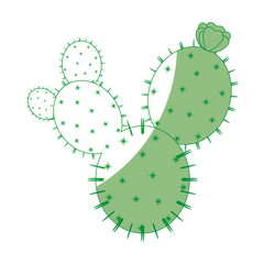 Cactus desert plant icon vector illustration graphic design
