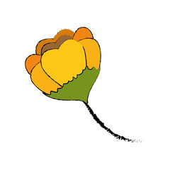 Beautiful ornamental flower icon vector illustration graphic design