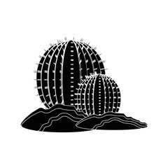 Cactus desert plant icon vector illustration graphic design