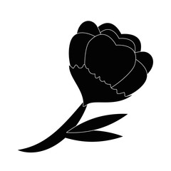 Beautiful ornamental flowers icon vector illustration graphic design