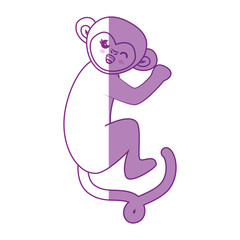 Monkey kawaii cartoon icon vector illustration graphic design