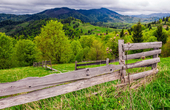 wooden fence on the hillside