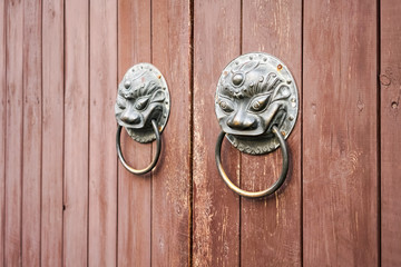 traditional knocker closeup