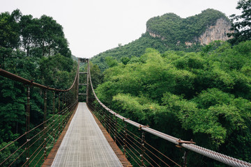  Suspension bridge in rainforest