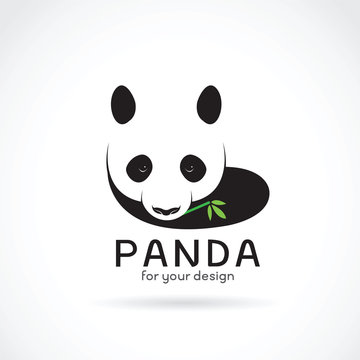 Vector of a panda design on a white background. Wild Animals.