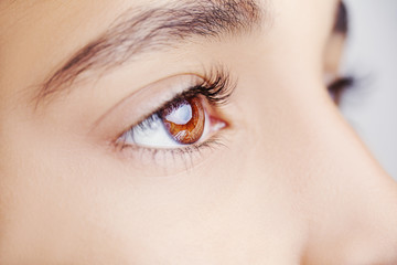 Obraz premium A beautiful insightful look eye. Close up shot
