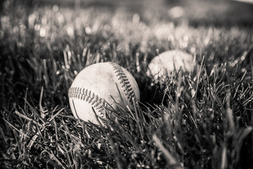 Baseballs in grass
