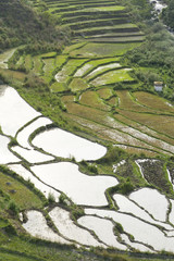 Bhutan