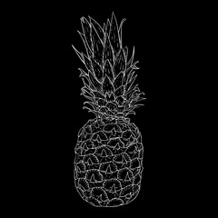 Pineapple. Hand drawn sketch on black background