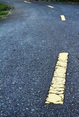 Fototapeta premium Road not straight / Yellow line on the road shows way not straight