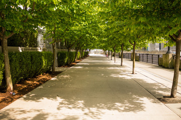Photo of sunny sidewalk with trees on Downtown Vancouver, BC