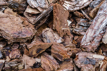 Crushed tree bark texture background closeup. Shredded brown tree bark for decoration and mulching or for playground.