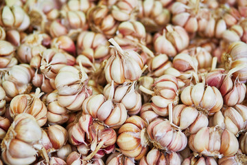 Fresh garlic on a farmer market