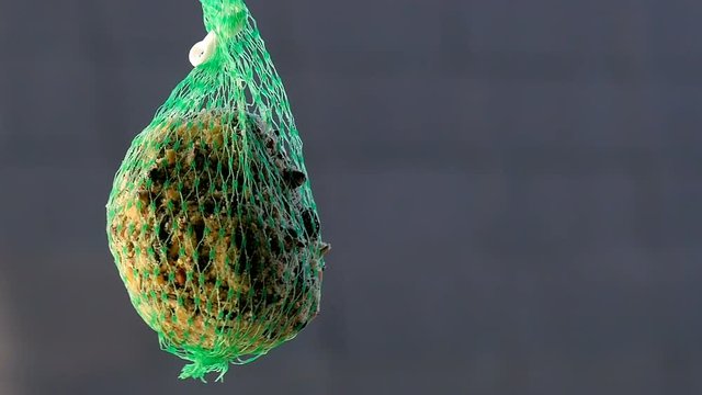 A bird takes a seed from a mesh feeder and flies off. The little sac is left swinging. Filmed in extreme closeup.