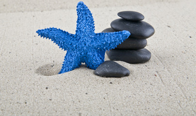 Fototapeta na wymiar blue starfish and stones