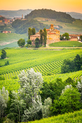 Obraz premium Langhe, Piedmont, Italy.