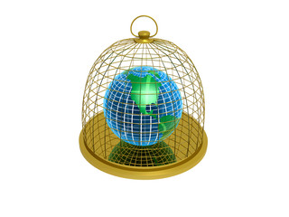 Globe in cage
