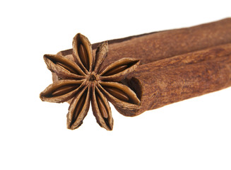 cinnamon stick and star anise spice