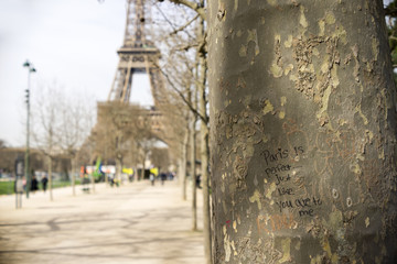Paris declaration of love