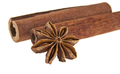 cinnamon stick and star anise spice