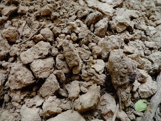 soil