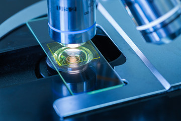 Microscopes in Laboratory 