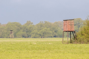 Hochstand auf der Wiese