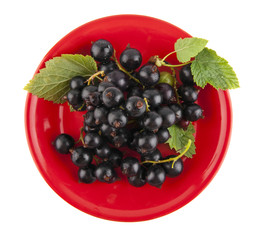blackberry on a red dish