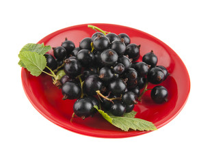 blackberry on a red dish