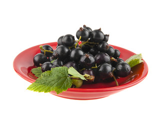 blackberry on a red dish
