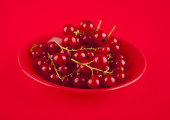 red currants in a red dish