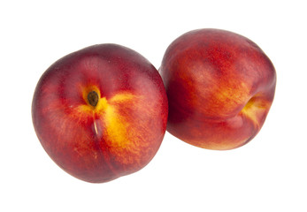 nectarine