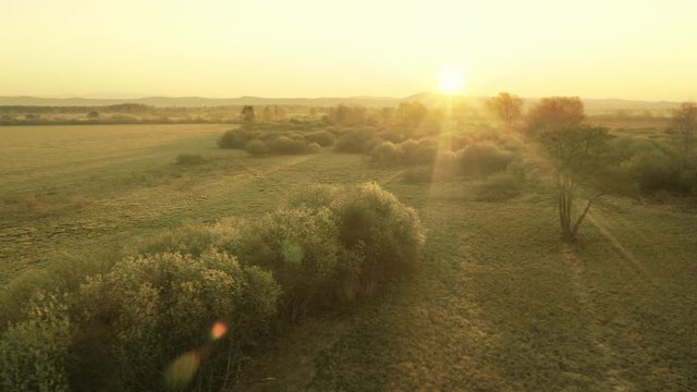 Mid air side shot of a beautiful sunrise in countryside in the summer.
