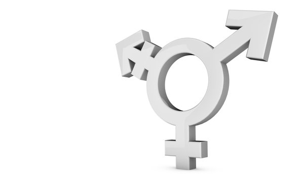 Transsexual symbol on a plain white background. 3D Rendering