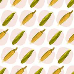 Corn maize vector seamless pattern. Realistic botanical illustration.