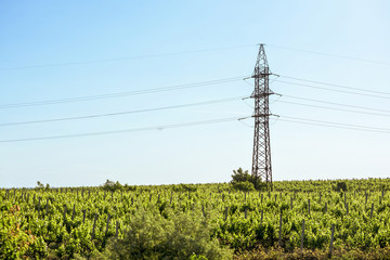 High tension power line electrical wire and big pillar at sunset in Moldova, green vine yards blue...