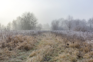 Obraz na płótnie Canvas Cold Winter Day at Nature Reserve / Germany