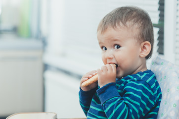 The boy in the kitchen eating cookies