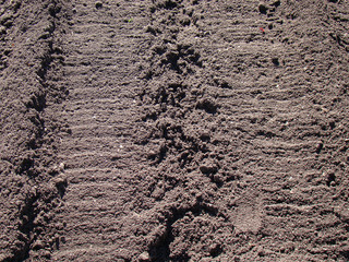 Background plowed earth