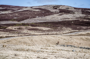 scottish highland panorama