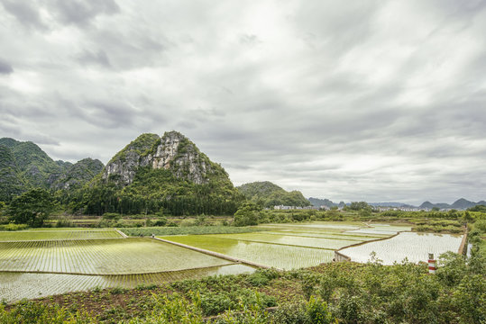Wanfenglin rural area, karst topography, near Qianxinan city, Guizhou, China