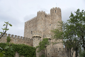 Castillo de la Coracera o castillo de San Martín de Valdeiglesias. San Martín de Valdeiglesias....