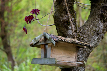 Pretty bird house from an angle