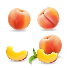 Ripe peach fruit with leaf isolated Realistic vector illustration.