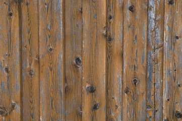 Fototapeta premium Wooden pattern